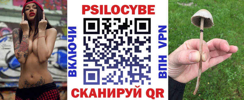 Галлюциногенные грибы мухоморы  как найти наркотики  Болхов 